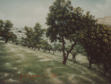Schilderij getiteld "Olive grove. Jerusa…" door Arkady Paransky, Origineel Kunstwerk, Pastel