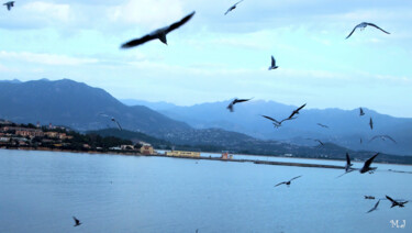 Photographie intitulée "Flock of birds arou…" par Armajay, Œuvre d'art originale, Photographie numérique