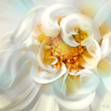 Arte digital titulada "Delicate white flow…" por Armajay, Obra de arte original, Pintura Digital