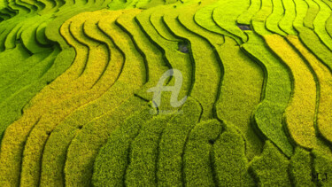 Фотография под названием "Mu Cang Chai, Vietn…" - Armajay, Подлинное произведение искусства, Цифровая фотография