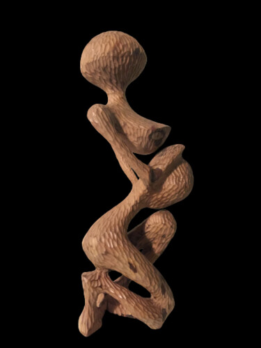 Sculpture intitulée "Purification" par Armand Kebfoube, Œuvre d'art originale, Bois