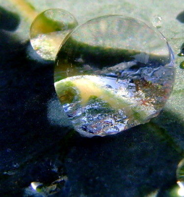 Photographie intitulée "Goutte" par Mandoushoot, Œuvre d'art originale