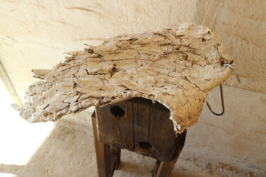 Sculpture intitulée "Flying meat-Mercifi…" par Armando D'Andrea, Œuvre d'art originale, Argile