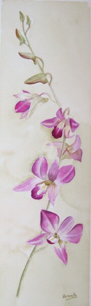 Painting titled "orchidée" by Armelle Cailly, Original Artwork, Watercolor Mounted on Cardboard