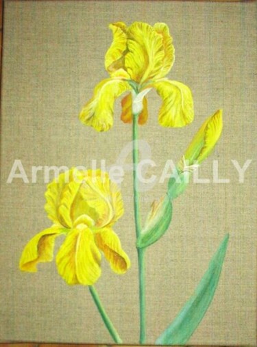 제목이 "iris jaune"인 미술작품 Armelle Cailly로, 원작, 아크릴 나무 들것 프레임에 장착됨