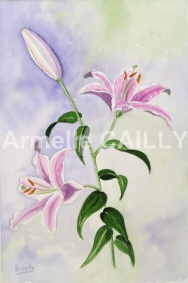 Painting titled "Branche de lys rose" by Armelle Cailly, Original Artwork, Watercolor Mounted on Cardboard