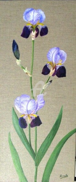 Peinture intitulée "iris parme" par Armelle Cailly, Œuvre d'art originale, Acrylique