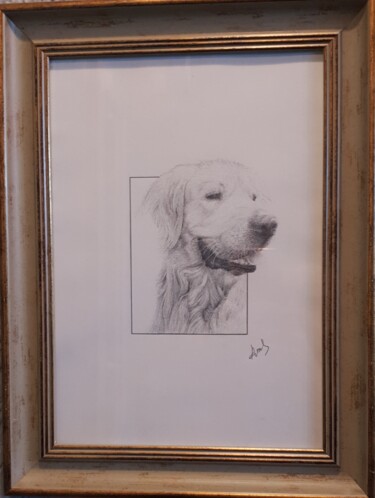 Pintura intitulada "Dog" por Armen Sahakyan, Obras de arte originais, Lápis