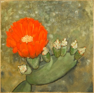 Malerei mit dem Titel "Fiori di Cactus" von Armida "Pupa" Nardi, Original-Kunstwerk, Öl