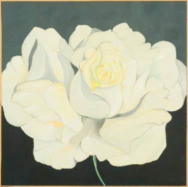 Pittura intitolato "White Rose" da Armida "Pupa" Nardi, Opera d'arte originale, Olio