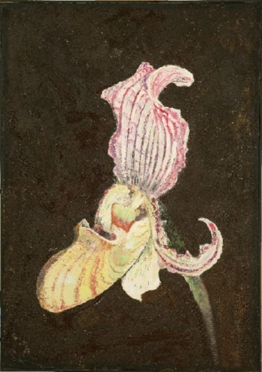 Painting titled "Orchidea Scarpetta" by Armida "Pupa" Nardi, Original Artwork, Oil
