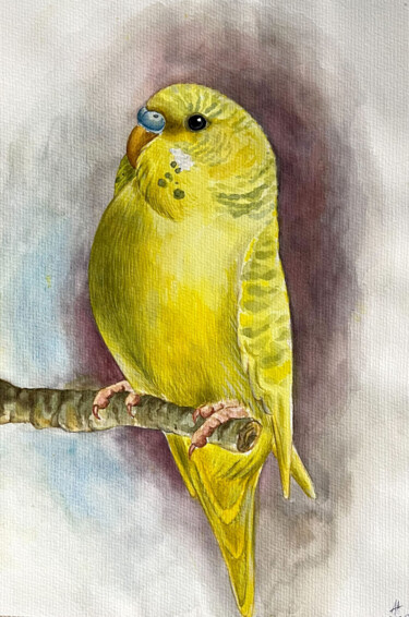 Картина под названием "Yellow Budgie with…" - Armine Abrahamyan, Подлинное произведение искусства, Акварель