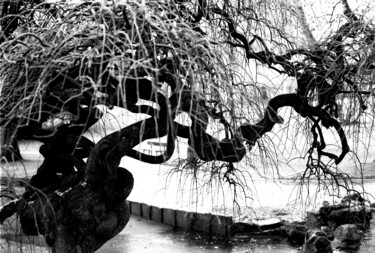 Fotografie mit dem Titel "Halloween tree" von Arnaud Dubois, Original-Kunstwerk, Analog Fotografie