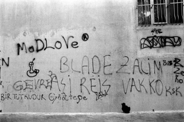 Photographie intitulée "Mad love" par Arnaud Dubois, Œuvre d'art originale, Photographie argentique