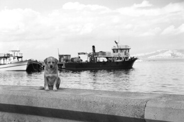 Photography titled "Dog docker" by Arnaud Dubois, Original Artwork, Analog photography