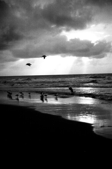 Fotografie mit dem Titel "plage du Nord de la…" von Arnaud Dubois, Original-Kunstwerk, Analog Fotografie