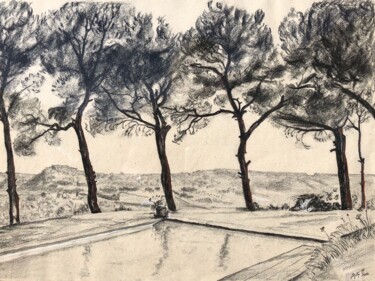 Drawing titled "Vue de chez Parker" by Arnaud Feuga, Original Artwork, Charcoal Mounted on Other rigid panel