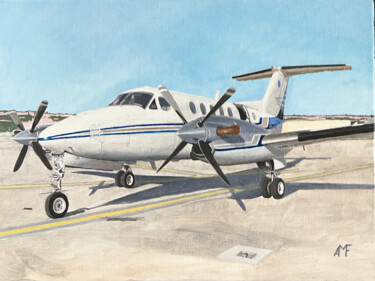 Schilderij getiteld "Beechcraft King Air…" door Arnaud Feuga, Origineel Kunstwerk, Olie Gemonteerd op Frame voor houten bran…