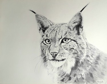Dessin intitulée "Lynx" par Arnaud Pujol, Œuvre d'art originale, Crayon