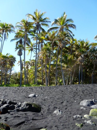 Photography titled "Hawaii          Pla…" by Arnaud Thévenin, Original Artwork