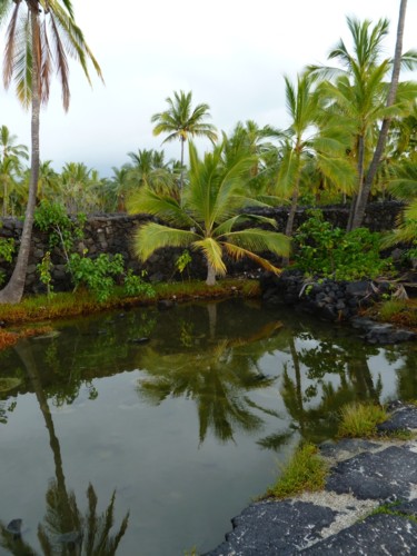 Photographie intitulée "Hawaii" par Arnaud Thévenin, Œuvre d'art originale