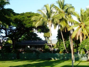 Photographie intitulée "Hawaii" par Arnaud Thévenin, Œuvre d'art originale