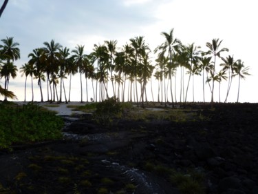 Photographie intitulée "Hawaii" par Arnaud Thévenin, Œuvre d'art originale