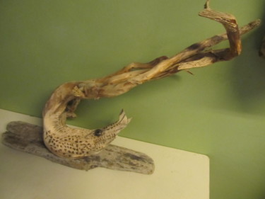 Sculpture intitulée "le poisson racine" par Satorra, Œuvre d'art originale, Bois