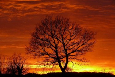 Photographie intitulée "ciel de feu" par Aronaturel(Aronaturel.Jed.St), Œuvre d'art originale