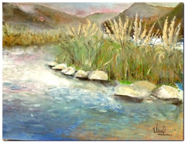 Pintura titulada "Rio San Guillermo" por Patricia Arraigada, Obra de arte original