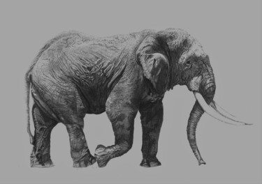 Drawing titled "elephant" by Arsla Matthieu, Original Artwork, Ballpoint pen