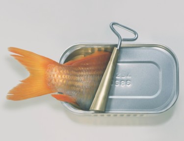 Digitale Kunst getiteld "Fish Can't" door Art Grafts, Origineel Kunstwerk, Film Print