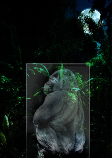 Impressões e gravuras intitulada "jungle-gorilla.jpg" por Glass Hysteria, Obras de arte originais, Outro