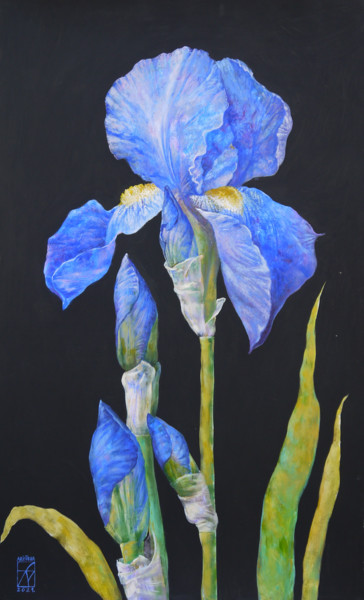 Картина под названием "blue iris" - Maria Aristova, Подлинное произведение искусства, Акрил