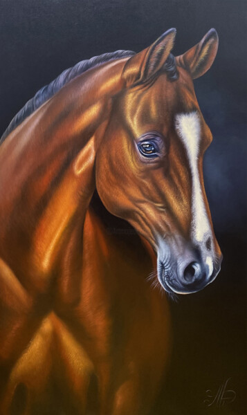 Painting titled "Horse portrait" by Artak Galstyan, Original Artwork, Oil