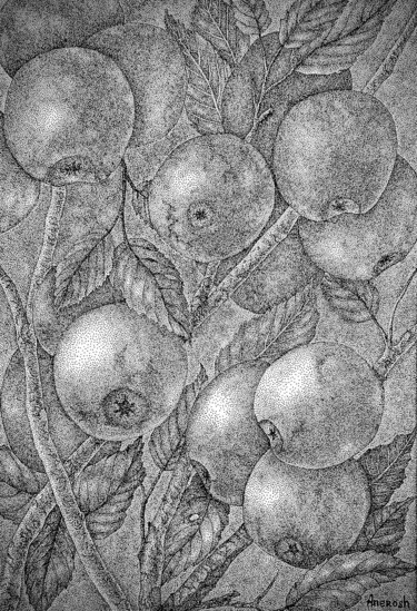 Dibujo titulada "Branche de pommier" por Anerosh, Obra de arte original, Tinta