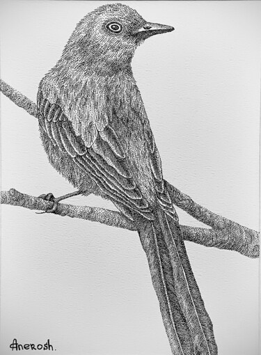Рисунок под названием "Series Bird 2" - Anerosh, Подлинное произведение искусства, Чернила