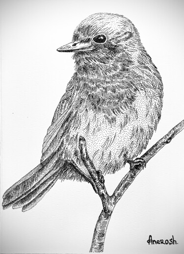 Drawing titled "Series Bird 3" by Anerosh, Original Artwork, Ink
