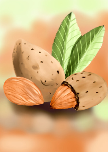 Digital Arts titled "Amandes" by Artauxmurs, Original Artwork, Digital Painting