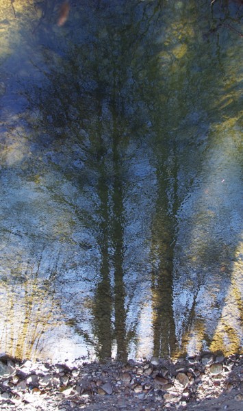 Фотография под названием "Reflets" - Ludovic Cussigh, Подлинное произведение искусства, Цифровая фотография