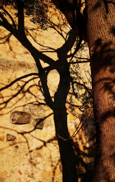 Photographie intitulée "Jeu d'ombres" par Ludovic Cussigh, Œuvre d'art originale, Photographie numérique
