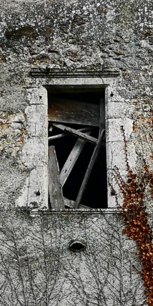 Fotografía titulada "Fenêtres" por Ludovic Cussigh, Obra de arte original, Fotografía digital