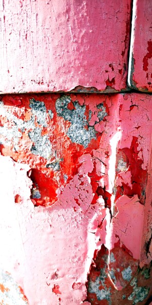 Photographie intitulée "Rose passé-rouge" par Ludovic Cussigh, Œuvre d'art originale, Photographie numérique