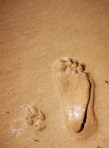 "Traces OCÉAN" başlıklı Fotoğraf Ludovic Cussigh tarafından, Orijinal sanat, Dijital Fotoğrafçılık