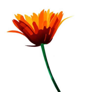 Цифровое искусство под названием "Цветок календула" - Artc Homel, Подлинное произведение искусства, Цифровая живопись