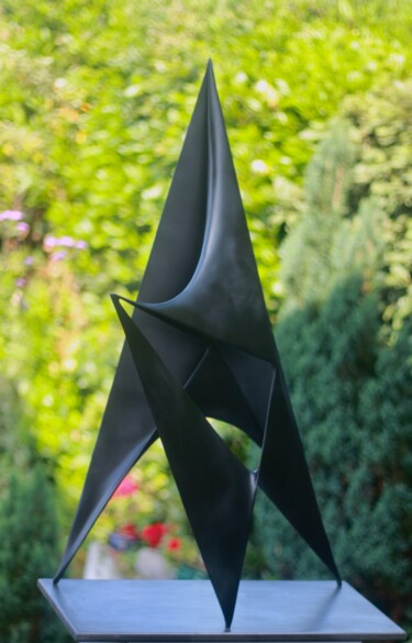 雕塑 标题为“Conquête” 由Dominique Andre, 原创艺术品, 树脂