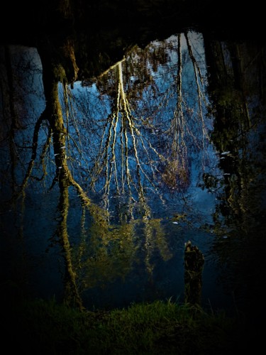Photographie intitulée "Rivière Reflets" par Artcouleur S, Œuvre d'art originale, Photographie numérique