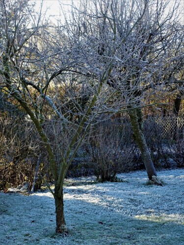 Photographie intitulée "Hiver Normandie II" par Artcouleur S, Œuvre d'art originale, Photographie numérique