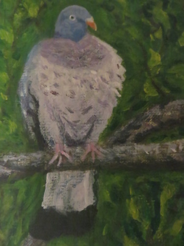 Painting titled "Pigeon" by Artcouleur S, Original Artwork, Acrylic