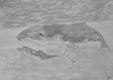 Drawing titled "Baleine et son petit" by Noémie Richard, Original Artwork, Graphite